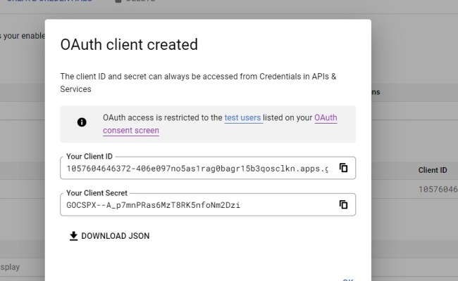 Use Google OAuth Authentication With React | Delft Stack